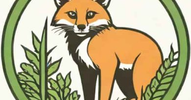 Xceptional Wildlife Removal Fredericksburg Va