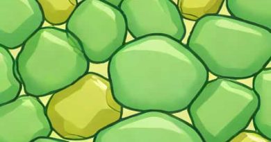 Yellowish Green Translucent Chalcedony Rocks