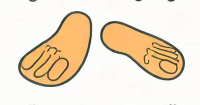 Feet Are Disgusting