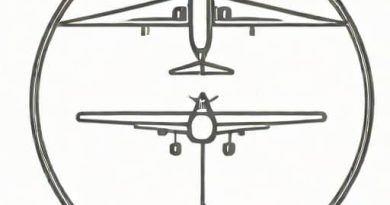 Flight Initiation Distance