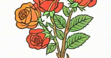How To Bare Root Roses
