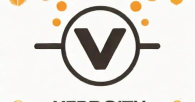 How To Pronounce Verbosity