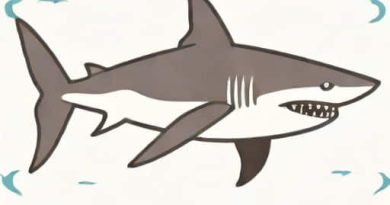 Is It Shark Week 2024