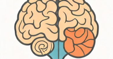 Left Hemisphere Of The Brain