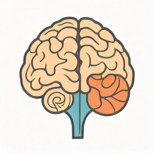 Left Hemisphere Of The Brain