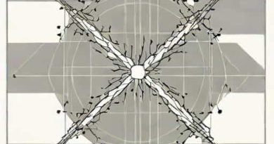 Maxwell Boltzmann Distribution X Axis