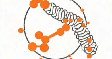 One Gene One Enzyme Hypothesis