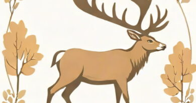 Paroles Cerf Cerf Ouvre Moi