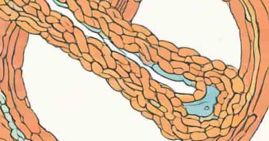 Reabsorption In Distal Convoluted Tubule
