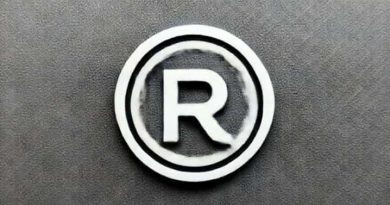 Rmg Polyvinyl India Limited