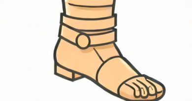 Rolled Ankle And It Popped