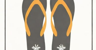 Sr Flip Flop Truth Table