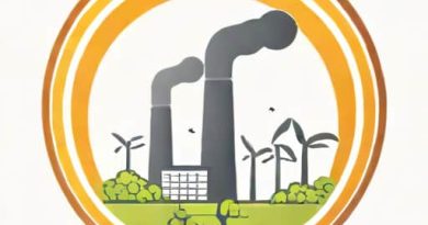Sta Je Antipollution Fault