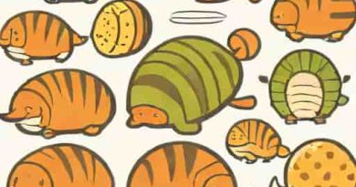 The Roly Polys Mo Moreland