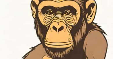Time Period Of Australopithecus Afarensis