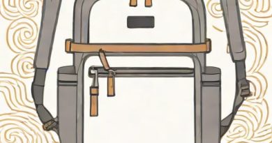 Tumi Voyageur Just In Case Backpack