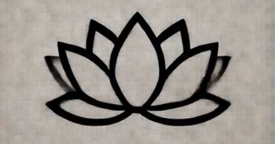 Used Lotus For Sale