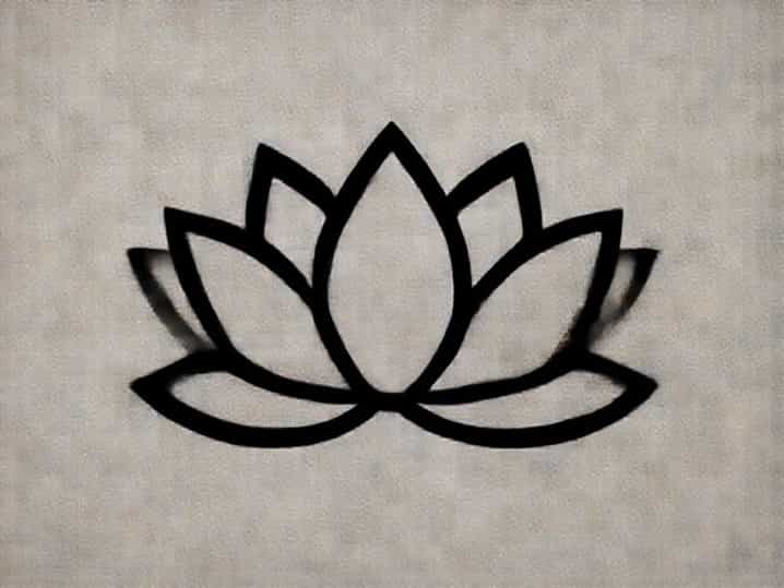 Used Lotus For Sale