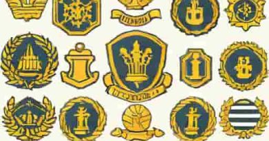 Usna Midshipmen Ranks