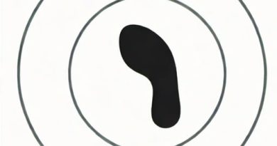 Valorant Footstep Radius