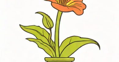 Venus Fly Trap Flower Stalk
