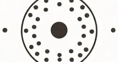 What Is A Dot Physical