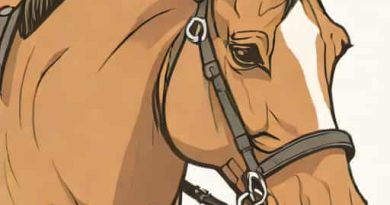 What Is A Horse Bridle