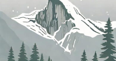 Yosemite Snowfall 2024